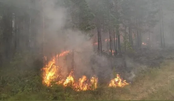 Омскую область предупредили о риске возникновения масштабных пожаров