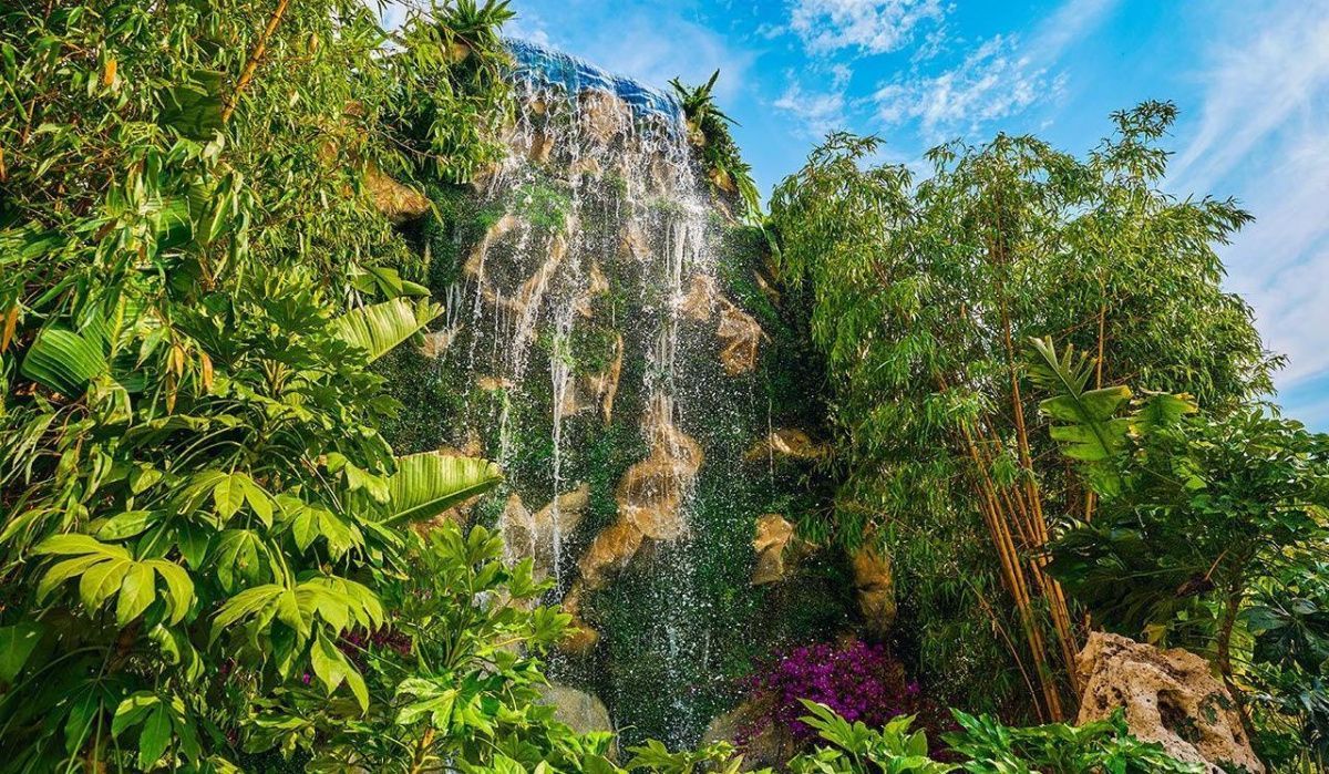 Москва подарит растения Донецкому и Никитскому ботаническим садам