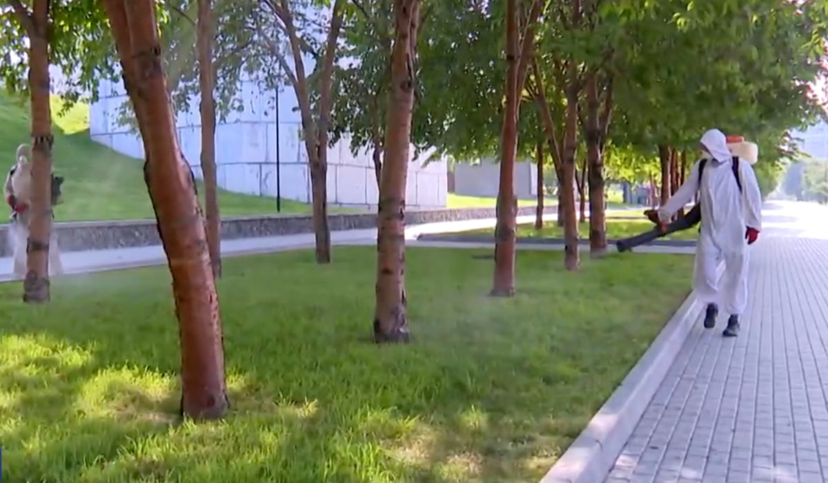 В Новосибирске снова обрабатывают парки и скверы от клещей