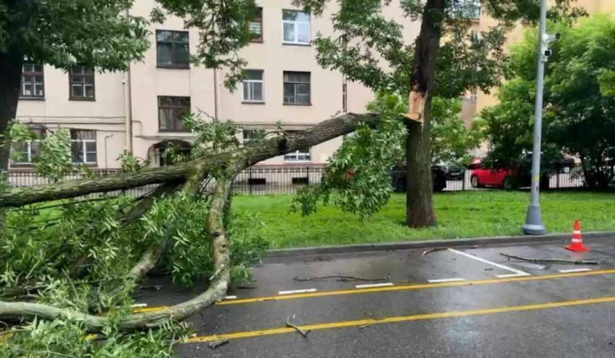 Ураган в Петербурге: поваленные деревья и затопленные набережные и пляжи