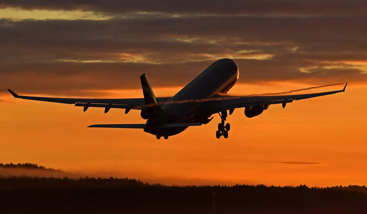 Турецкие авиакомпании начнут штрафовать пассажиров встающих после посадки