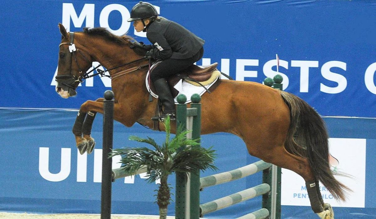 В Омске состоятся всероссийские соревнования по конному спорту 