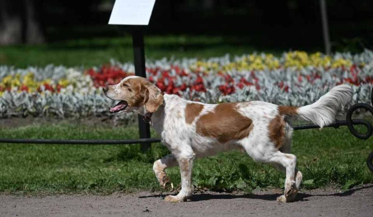 Леус поделился прогнозом погоды для Петербурга на 10 сентября