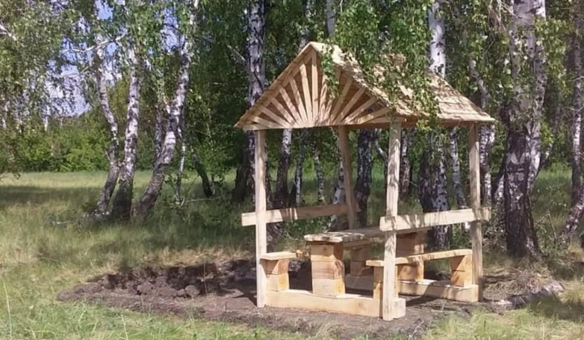 Для омичей оборудовали места в лесах для проведения пикников 