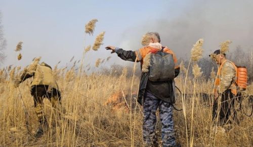 В Омской области задержали поджигателей леса