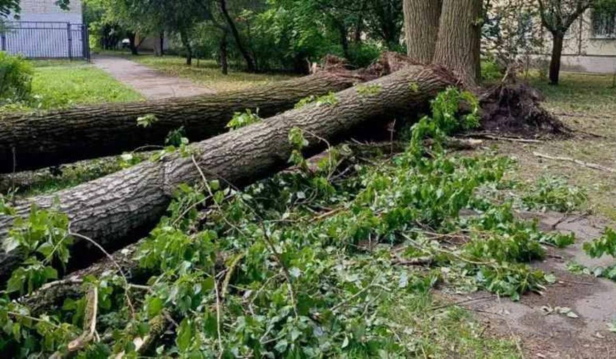 Власти Петербурга пообещали помочь семьям погибших во время урагана