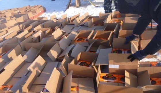 В Омск не пропустили тонны фиников из недружественной страны