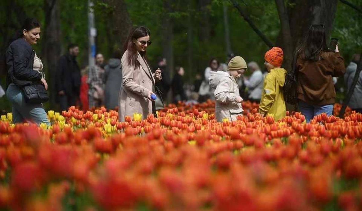 Колесов рассказал о прогнозе погоды в Петербурге до конца недели