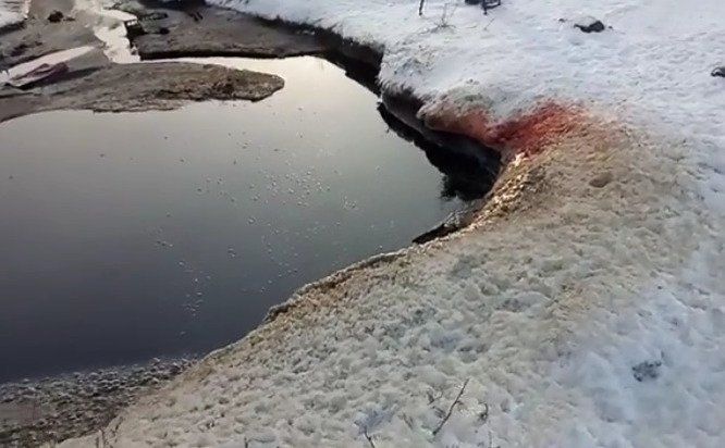 Кровавое озеро нашли под Омском