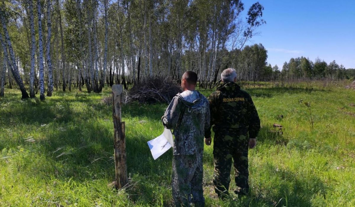 В Омской области в 10 раз вырастут штрафы за нарушение правил пожарной безопасности 