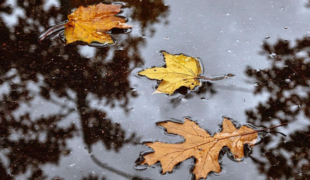 Пасмурная и дождливая погода прогнозируется в Москве на конец октября