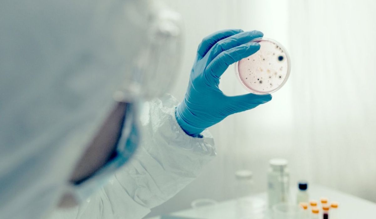 Роспотребнадзор назвал сроки пика лихорадки Западного Нила в этом году