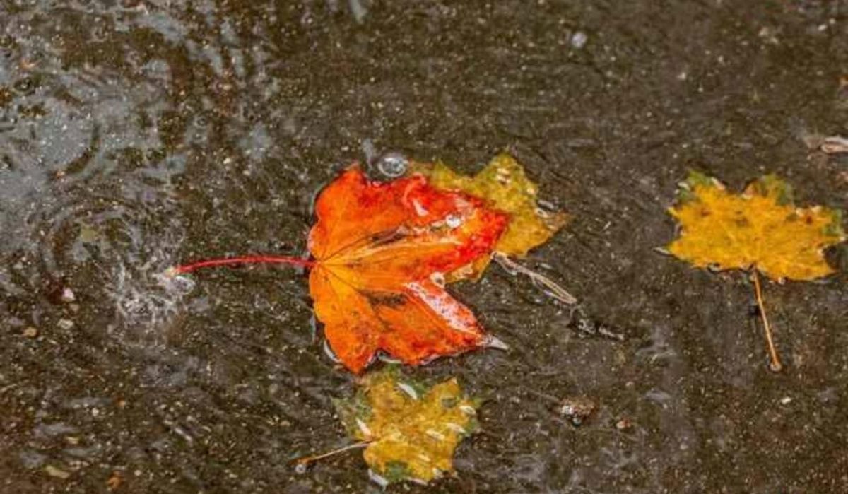 Синоптики назвали дату потепления в Омской области