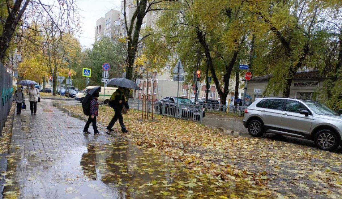 Синоптики рассказали, когда в Воронеже пройдёт первый осенний дождь