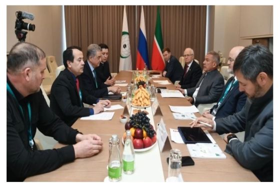 Раис Татарстана встретился с делегацией Организации Исламского сотрудничества
