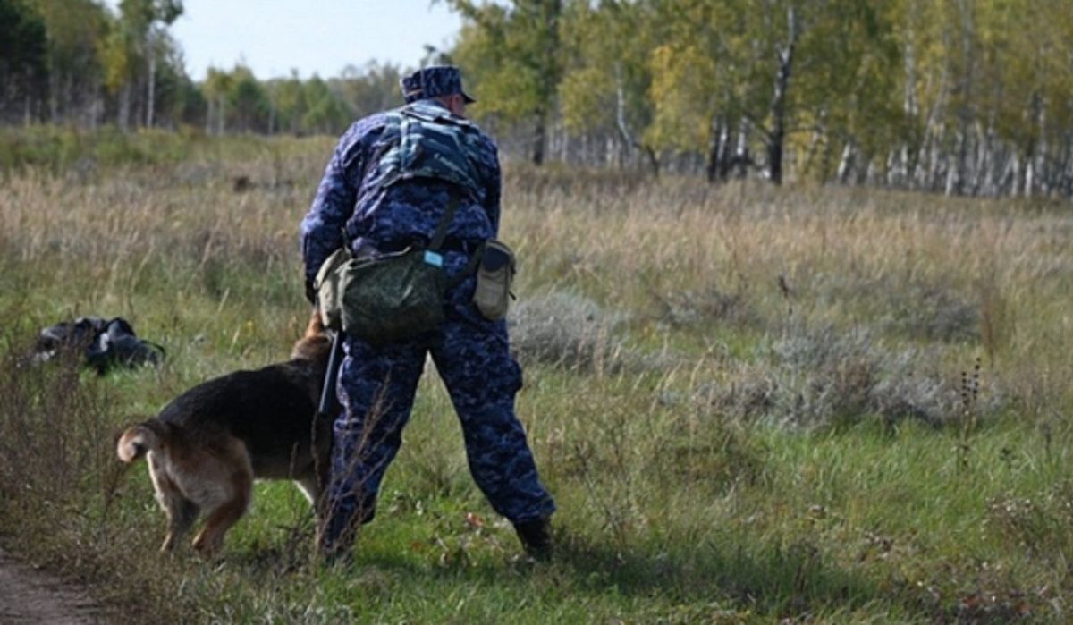 Бывший главный кинолог новосибирского ГУ ФСИН осужден за взятки