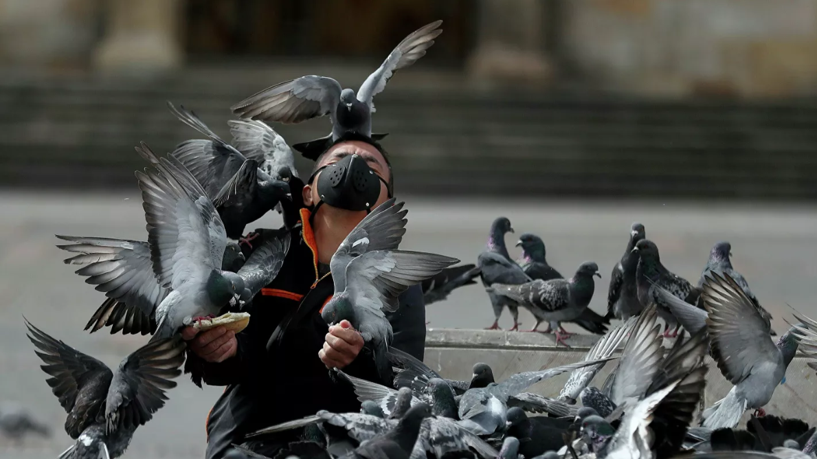 В Москве ввели новые жесткие ковид-ограничения