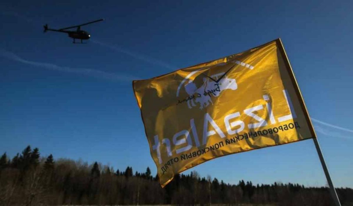 В августе 2025 в Петербурге и Ленобласти пропали более 380 человек