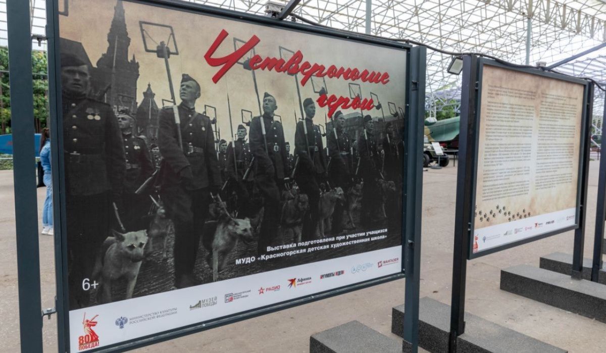 Музей «Г.О.Р.А.» представил выставку «Четвероногие герои»