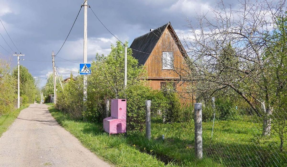 Экологи советуют москвичам избегать посадки клена ясенелистного на дачах