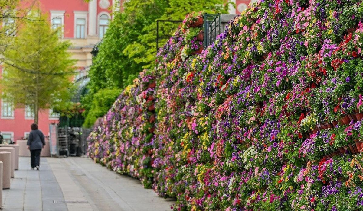 Фестиваль «Сады и цветы» представил летние прогулочные маршруты