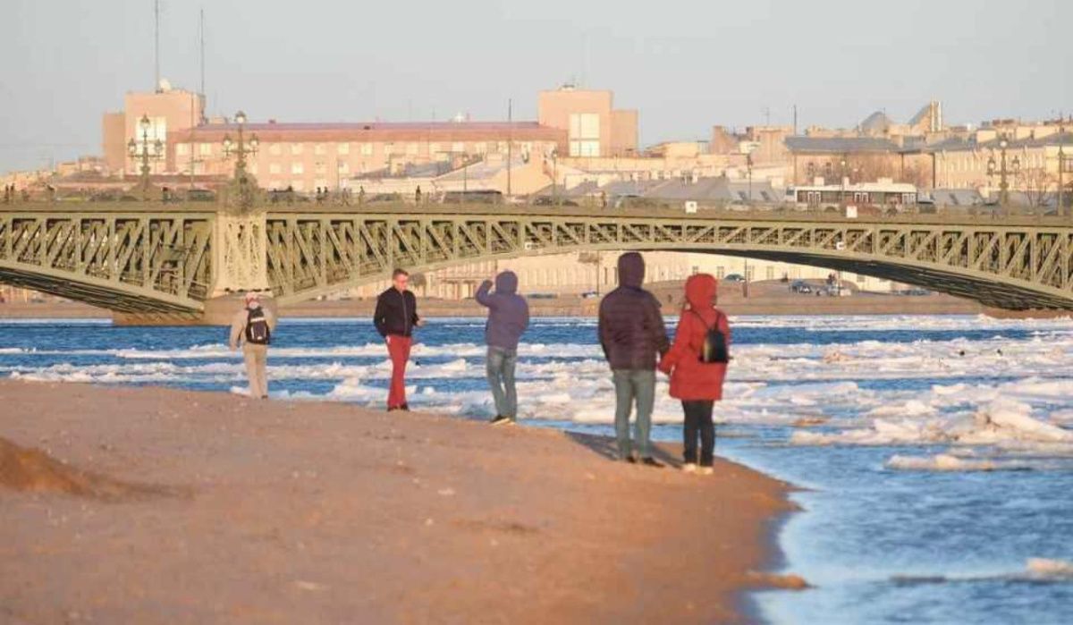 В Петербурге неизвестный ранил ножом ученицу восьмого класса