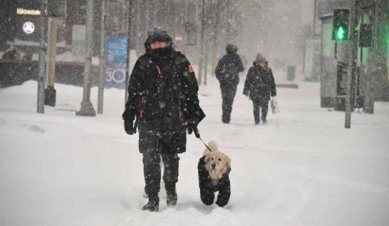 Омичей ожидают сильный снегопад, метель и штормовой ветер