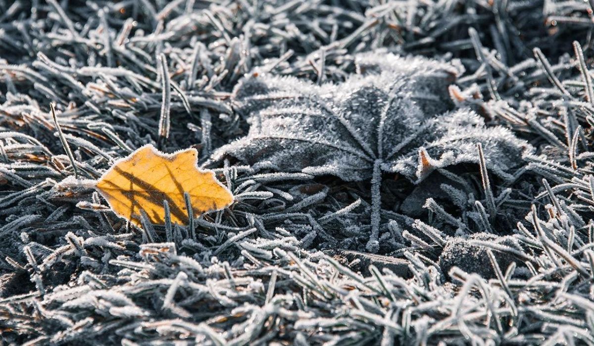 В Москве прогнозируется похолодание в ближайшие дни