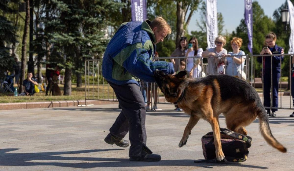 Около Музея Победы состоятся показательные выступления кинологов