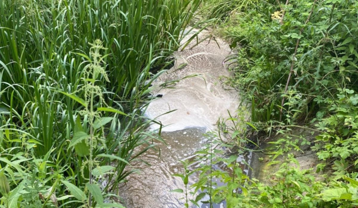 Власти проверят производителя солода на загрязнение реки Тихой Сосны