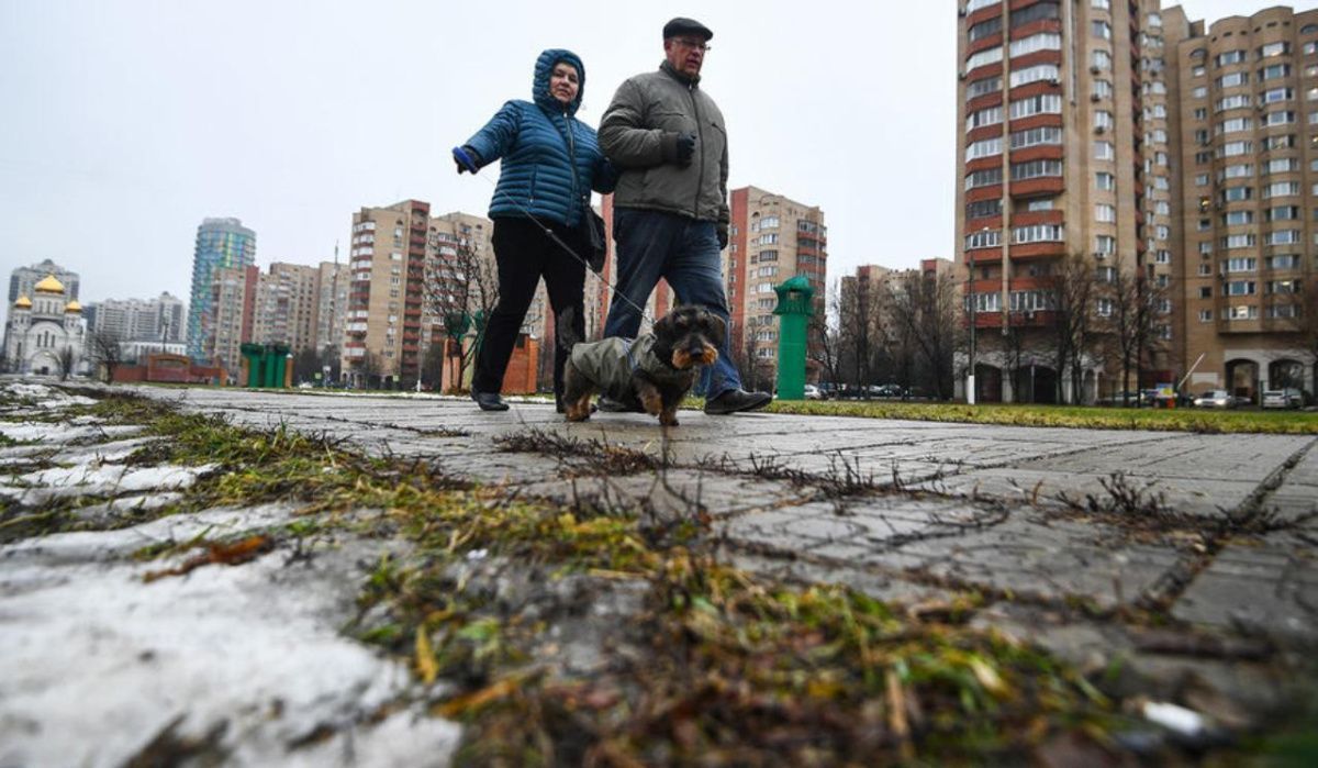 В Центральной России 6 и 7 мая ожидаются заморозки до -5°C
