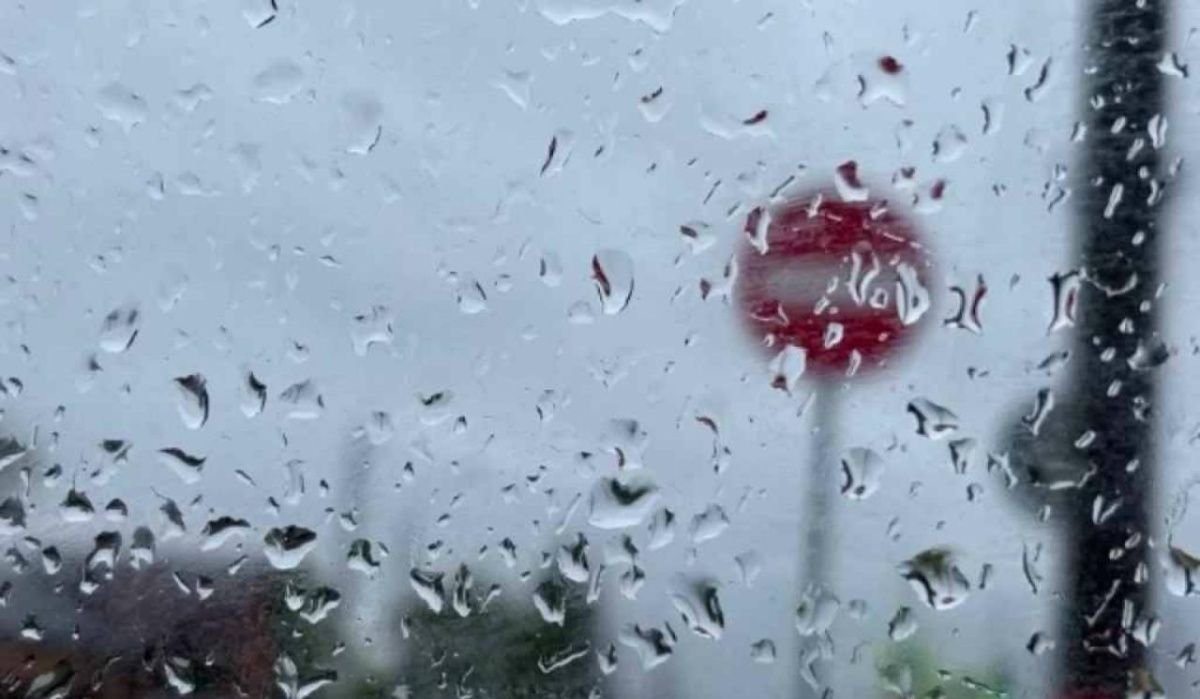 Леус рассказал о погоде в Петербурге 10 и 11 декабря