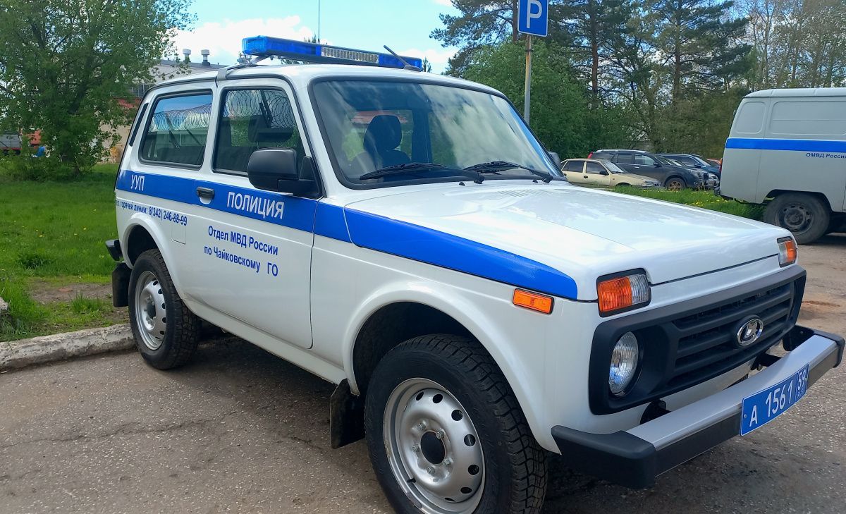 Полицейские Чайковского нашли заблудившегося в лесу подростка