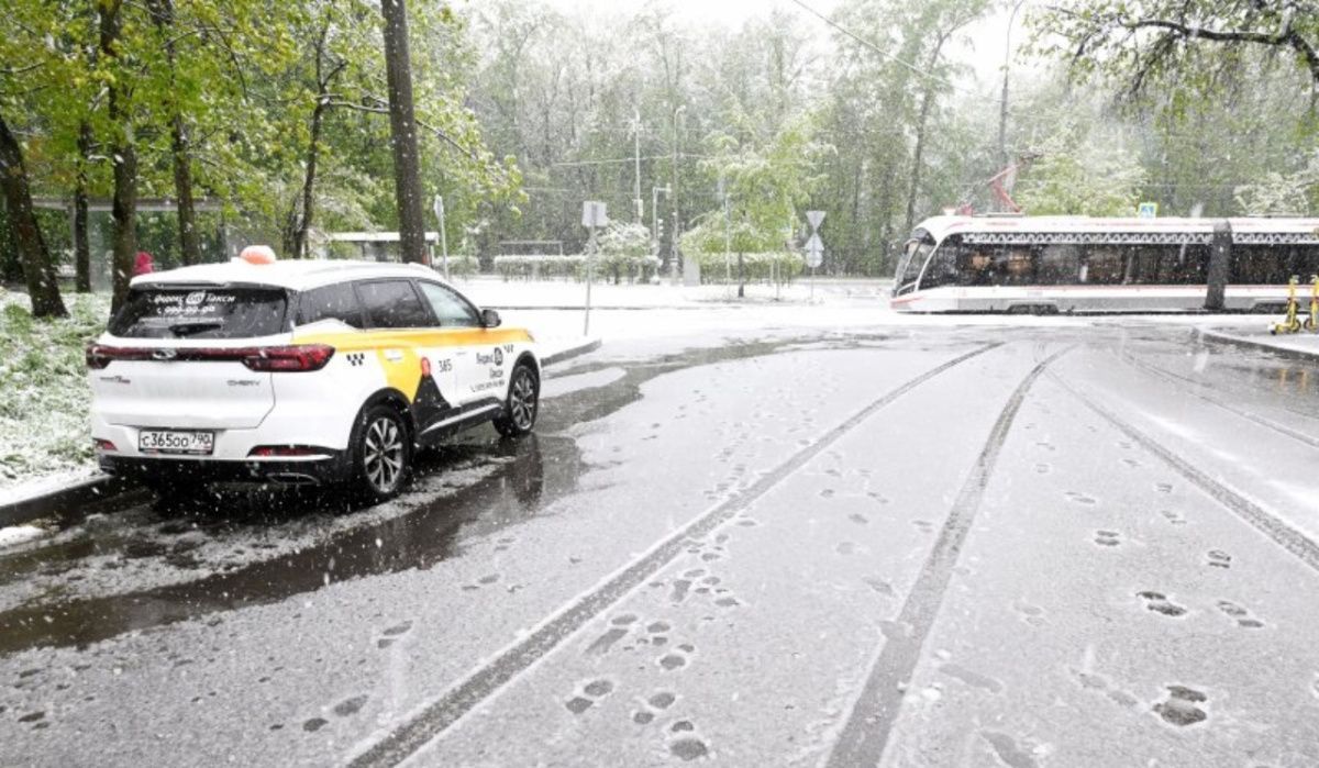 Май-2025: синоптик Леус прогнозирует аномально холодную погоду в XXI веке