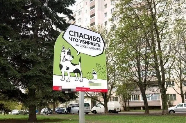 Мэр Омска предложил способы наказания собачников, не убирающих за питомцами